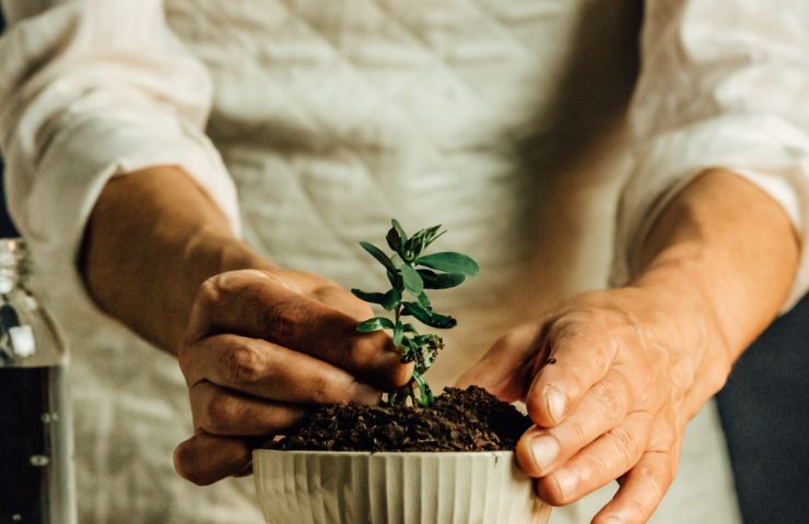 donna con piantina in mano